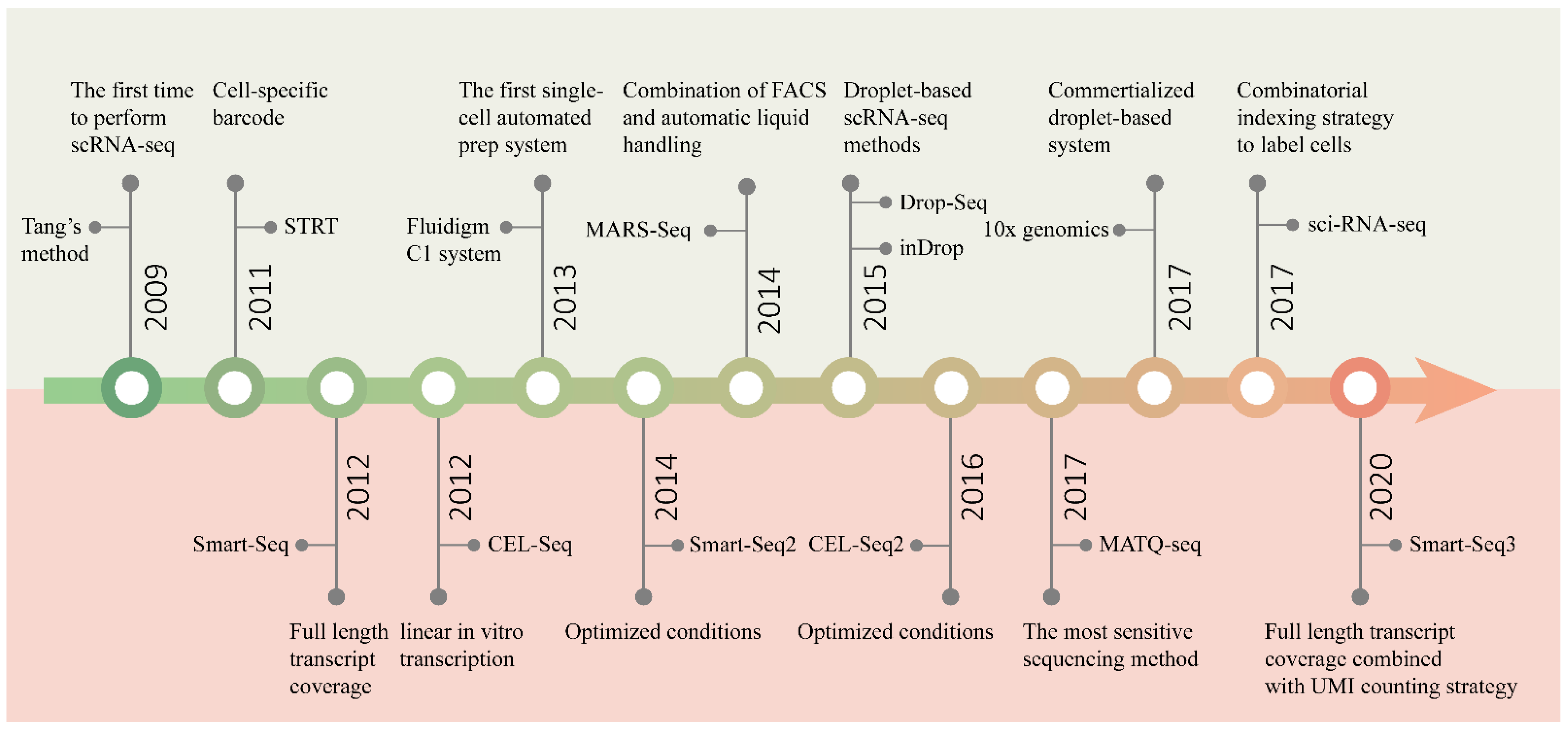 single cell RNA timeline.jpg
