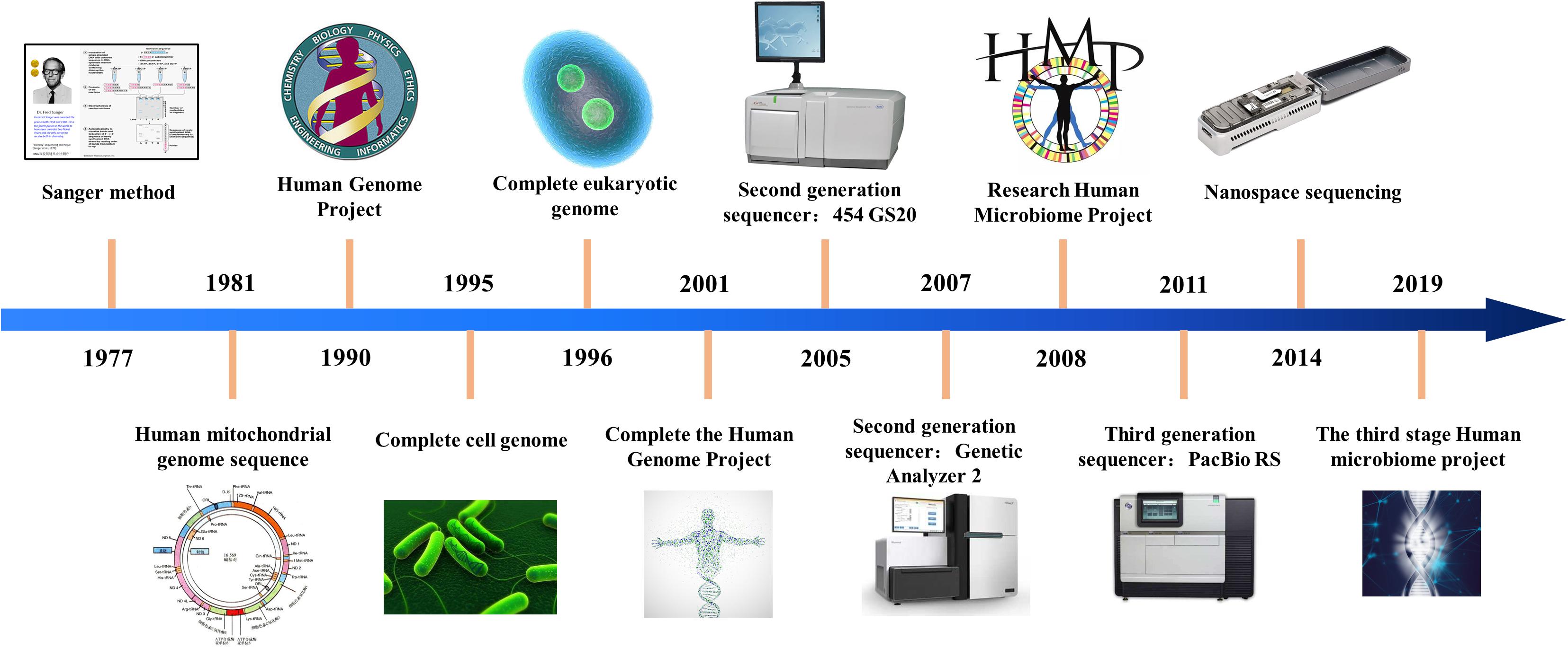 Second Generation Sequencing Analysis